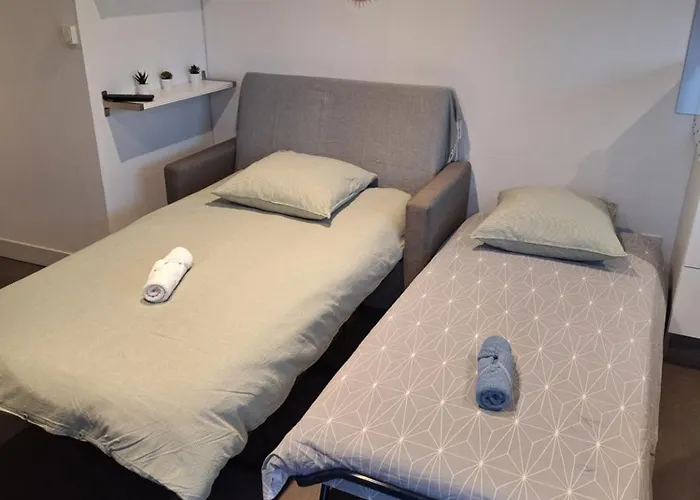 Maison Studio, Tiny House, Parking Prive, Jardin * Toul